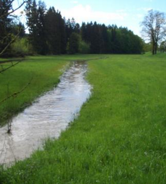 ein gut gefüllter Wiesengraben