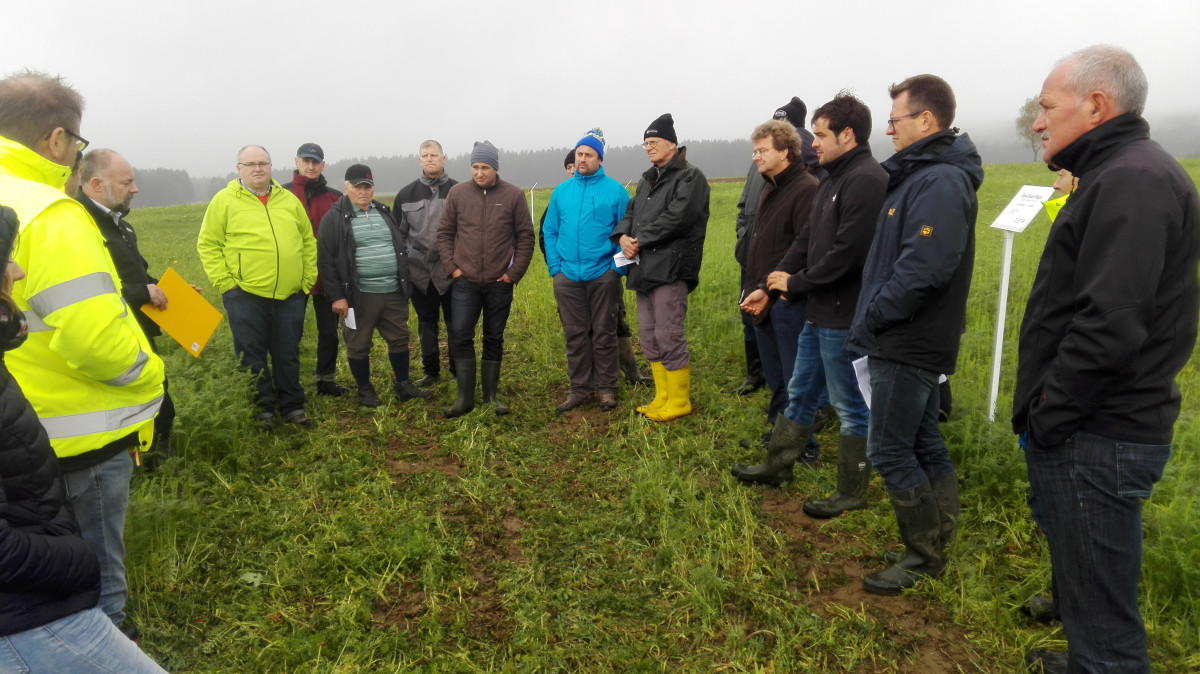 Viele Interessierte sahen sich die Zwischenfrüchte auf dem Acker von Stefan Rückdäschl aus Voitsumra an. Foto: pr. Viele Interessierte sahen sich die Zwischenfrüchte auf dem Acker von Stefan Rückdäschl aus Voitsumra an. Foto: pr.  Viele Interessierte sa