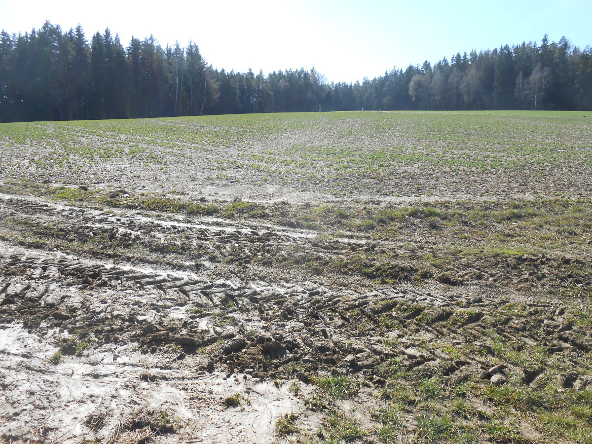 Eine geneigte Ackerfläche in Kuppenlage. An dem Grünweg davor sieht man noch die Offsite-Erosionsspuren, die ein vergangener Starkregen hinterlassen hat.