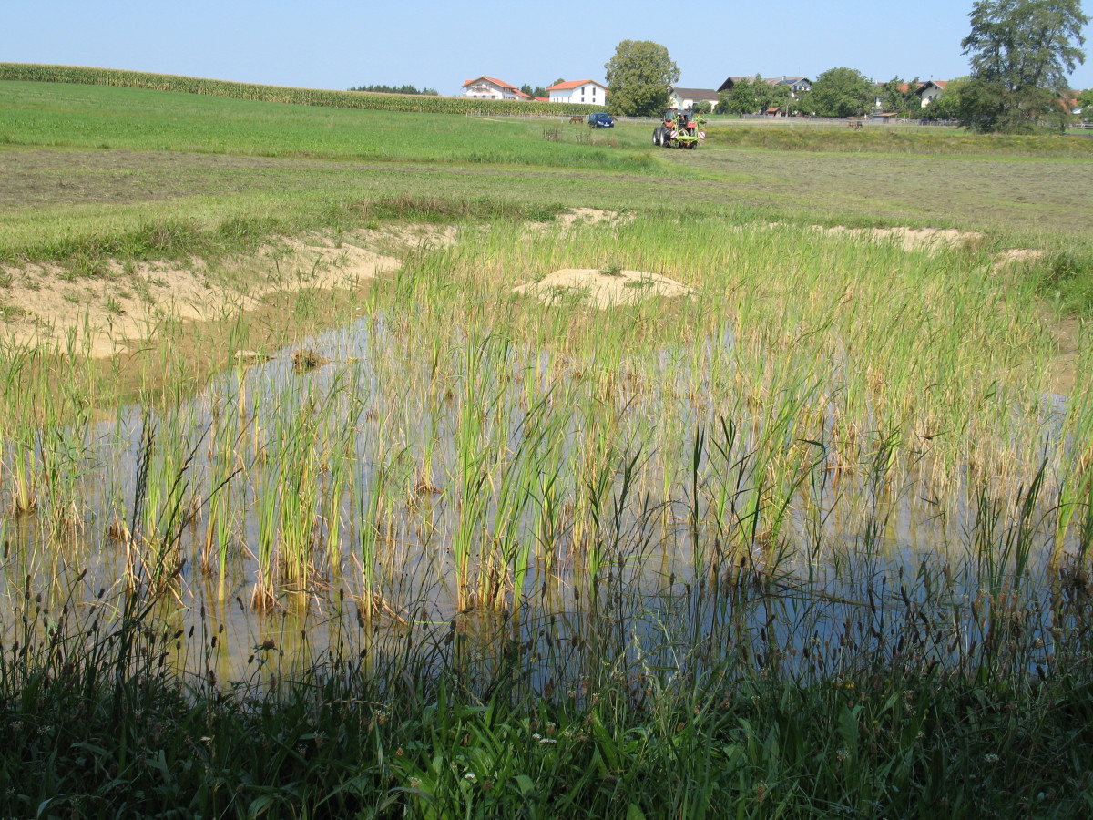 boden:ständig