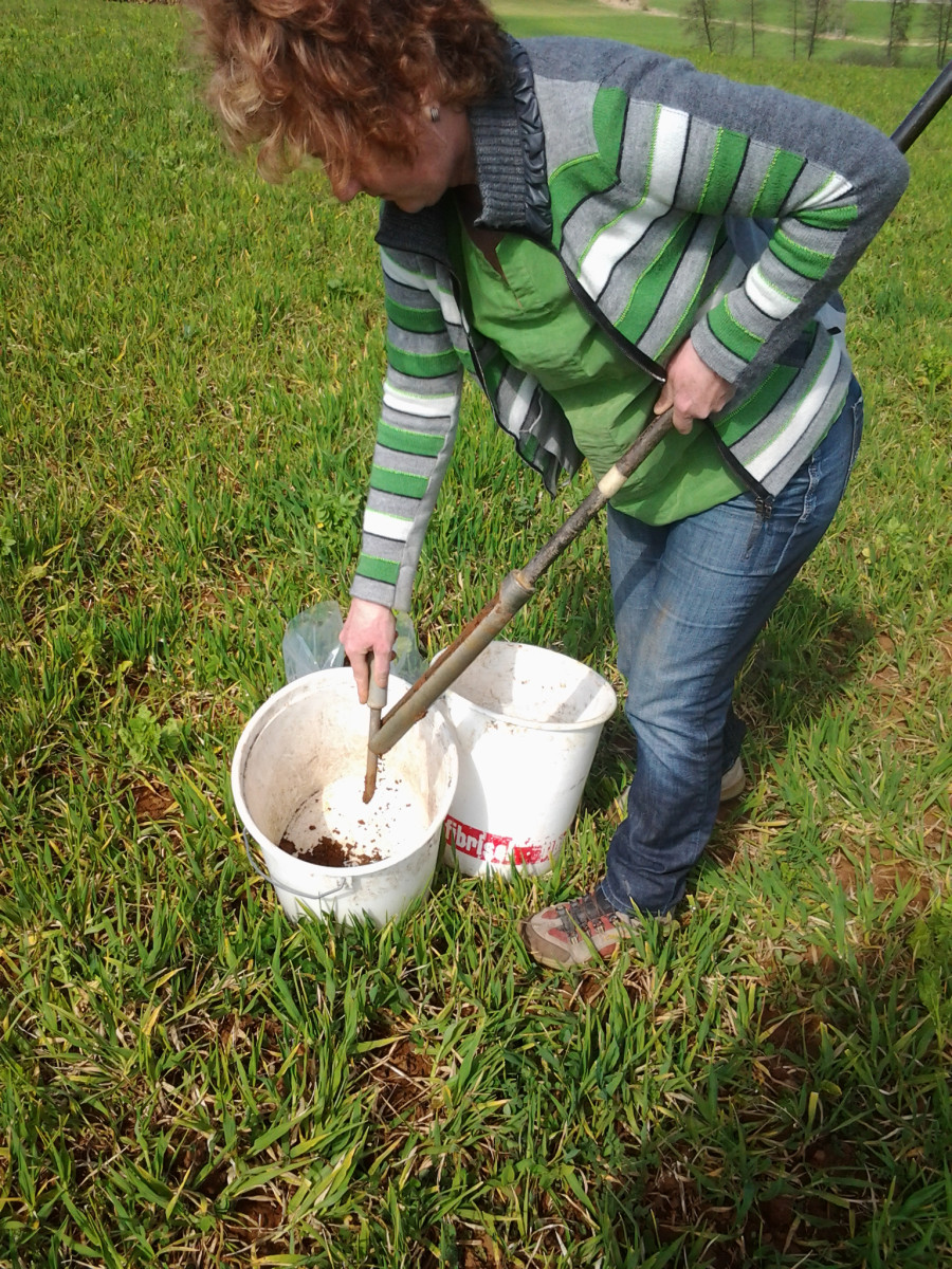 Eine Frau eintnimmt eine Bodenprobe aus dem Bohrstock