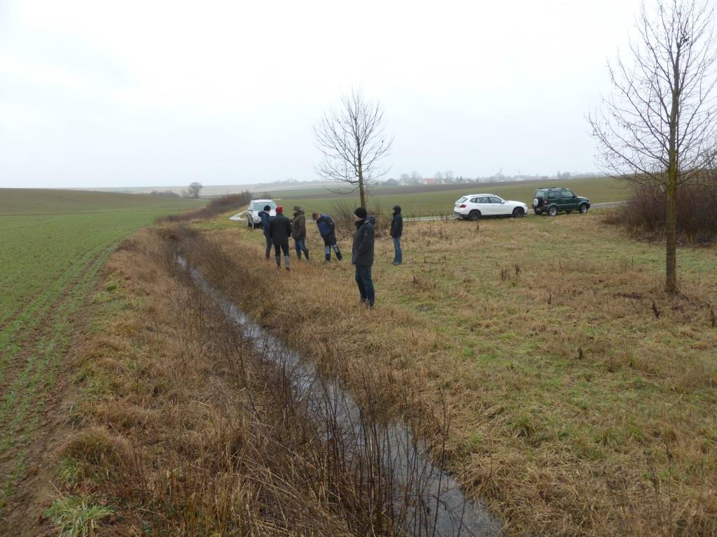 Bestehende Biotope sollen genutz werden um Wasser aufzunehmen