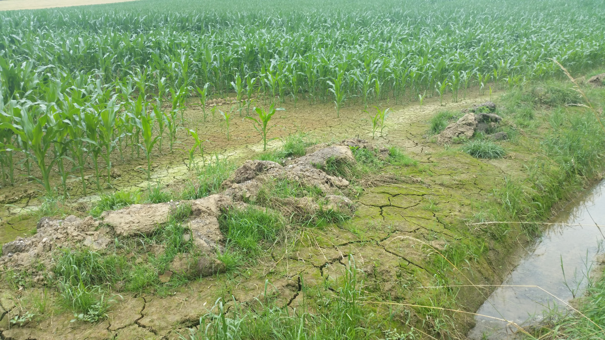 Abgelagertes Erosionsmaterial an einem Ackerrand; langsam bilden sich Trockenrisse in dem Schlamm.