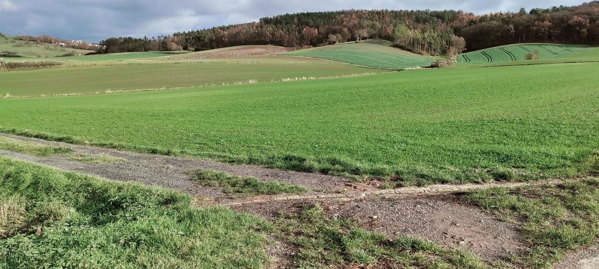 Landschaft mit Ackerflächen