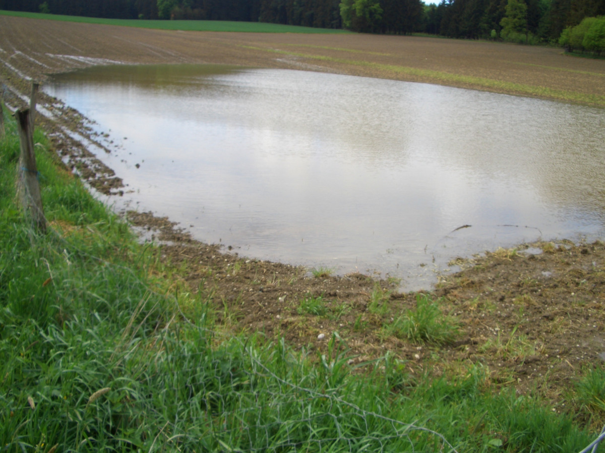 Hochwasser am Hutgraben