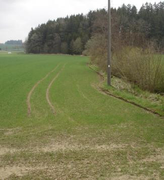 boden:ständig