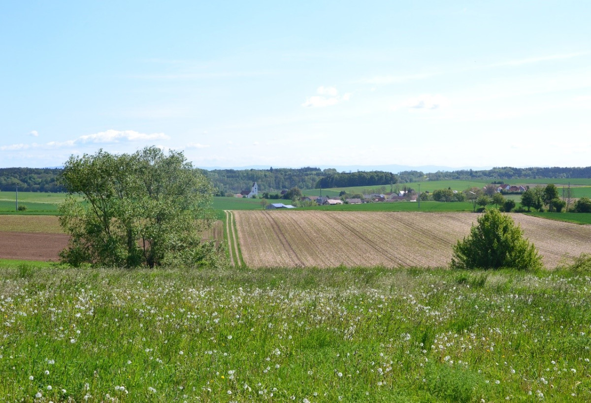 Von der Ortschaft Sanding ist durch die Tallage nur der Kirchturm zu sehen.