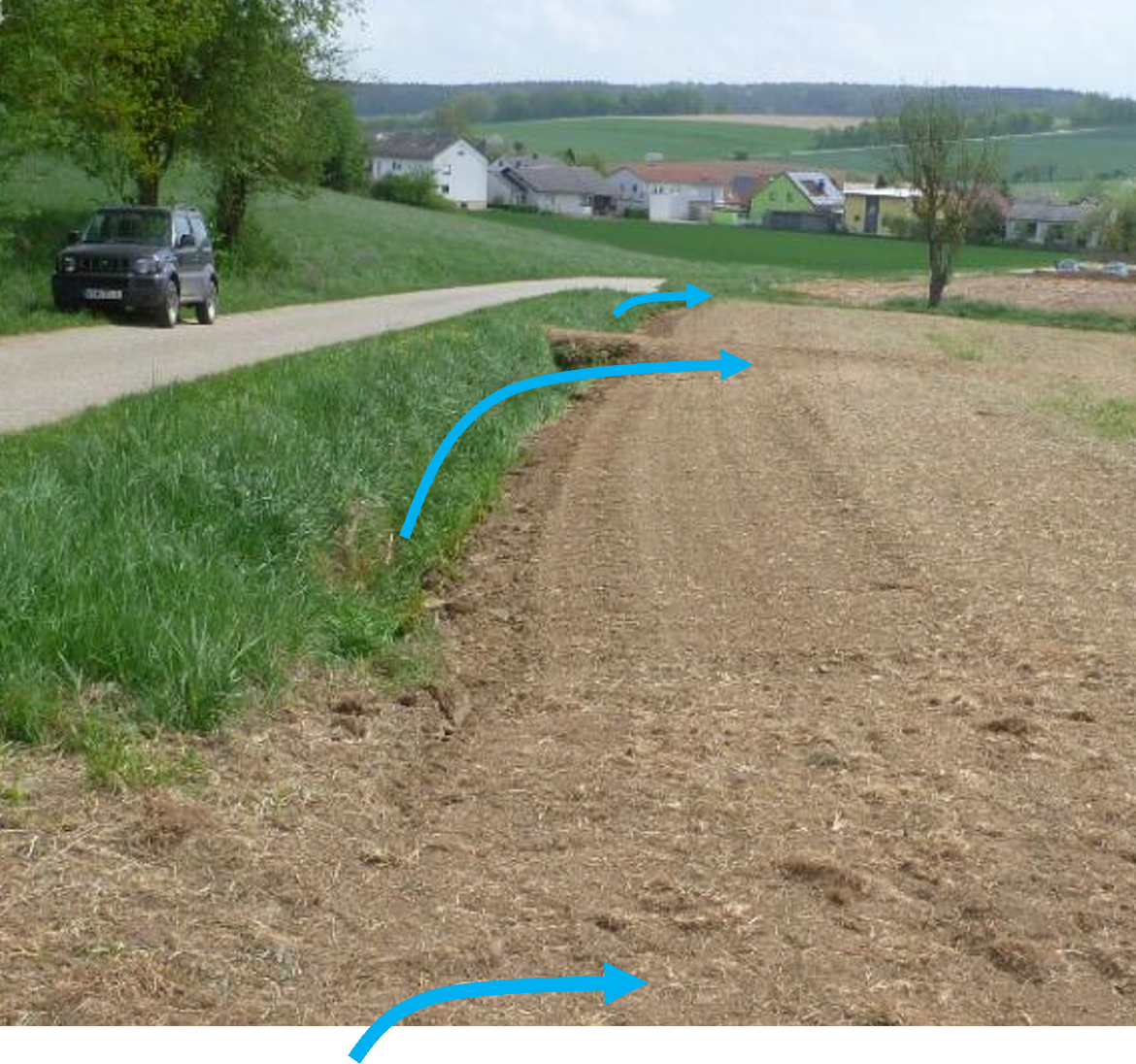 Der Graben ist kaum zu erkennen unter der Vegetation. Leichte Erdaufwallungen zeigen, wo an mehreren Stellen Wasser in die Ackerfläche geleitet wird wenn der Graben sehr voll ist.