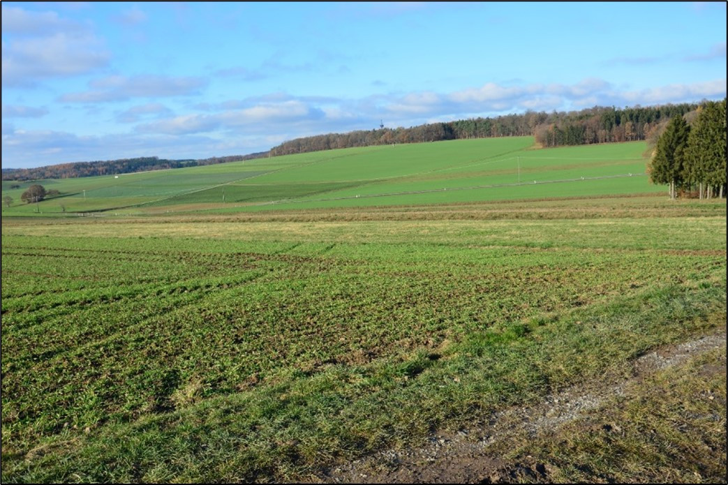 Für ein räumlich begrenztes Flurneuordnungsverfahren geeigneter Hangbereich nordöstlich von Reichartshausen