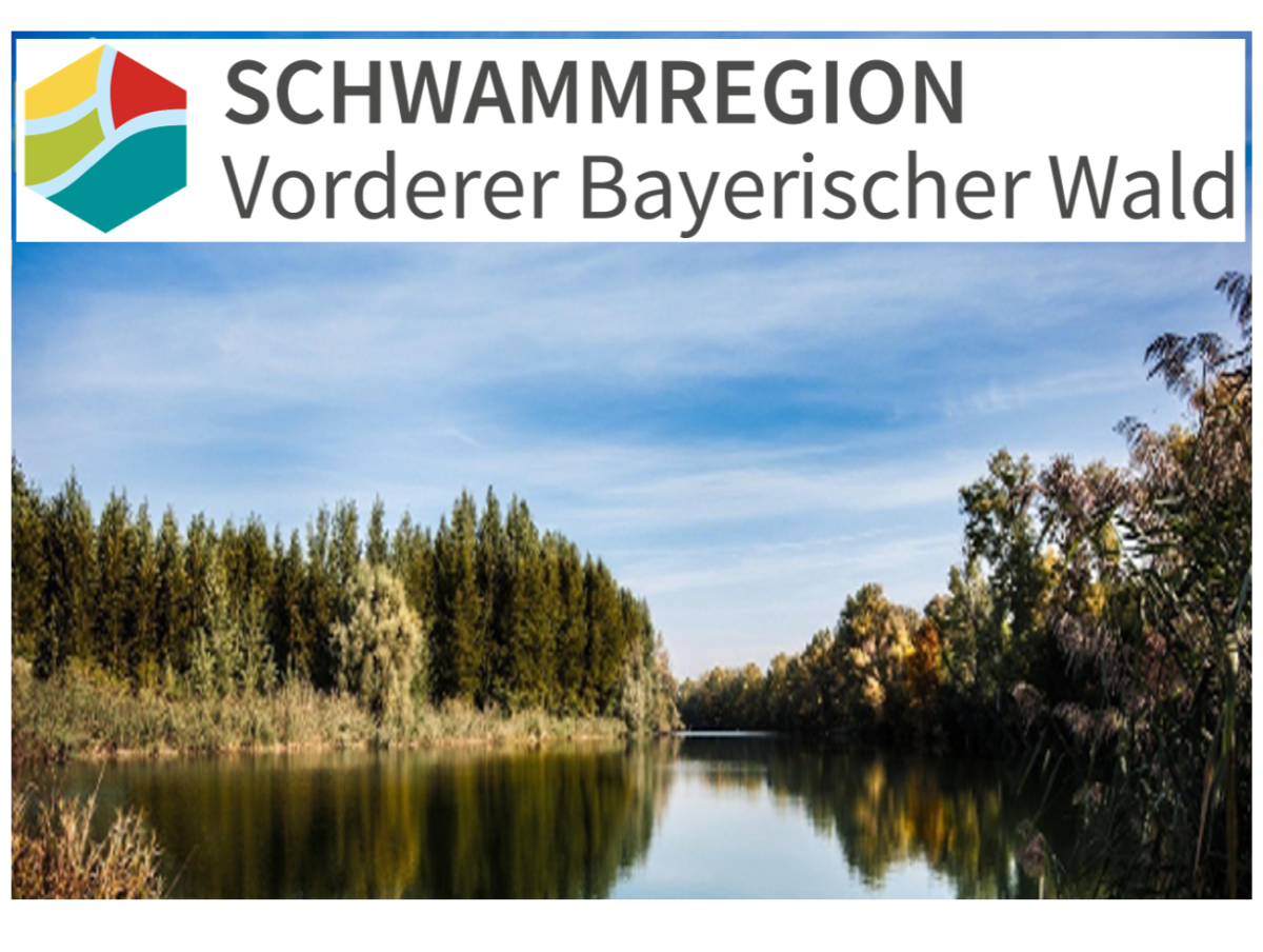 idyllisches Bild eines waldumstandenen Sees mit blauem Himmel