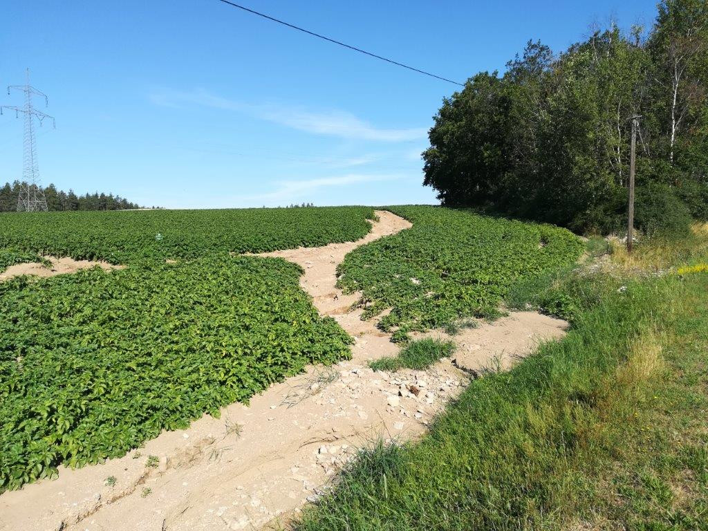 Kartoffelacker mit Erosionsrinnen und zugesetzter Straßengraben