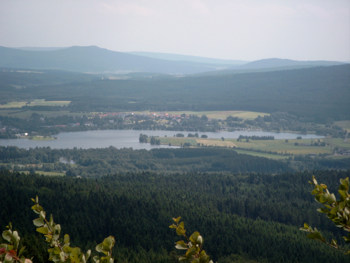 Weißenstädter See mit Wald im Hintergrund