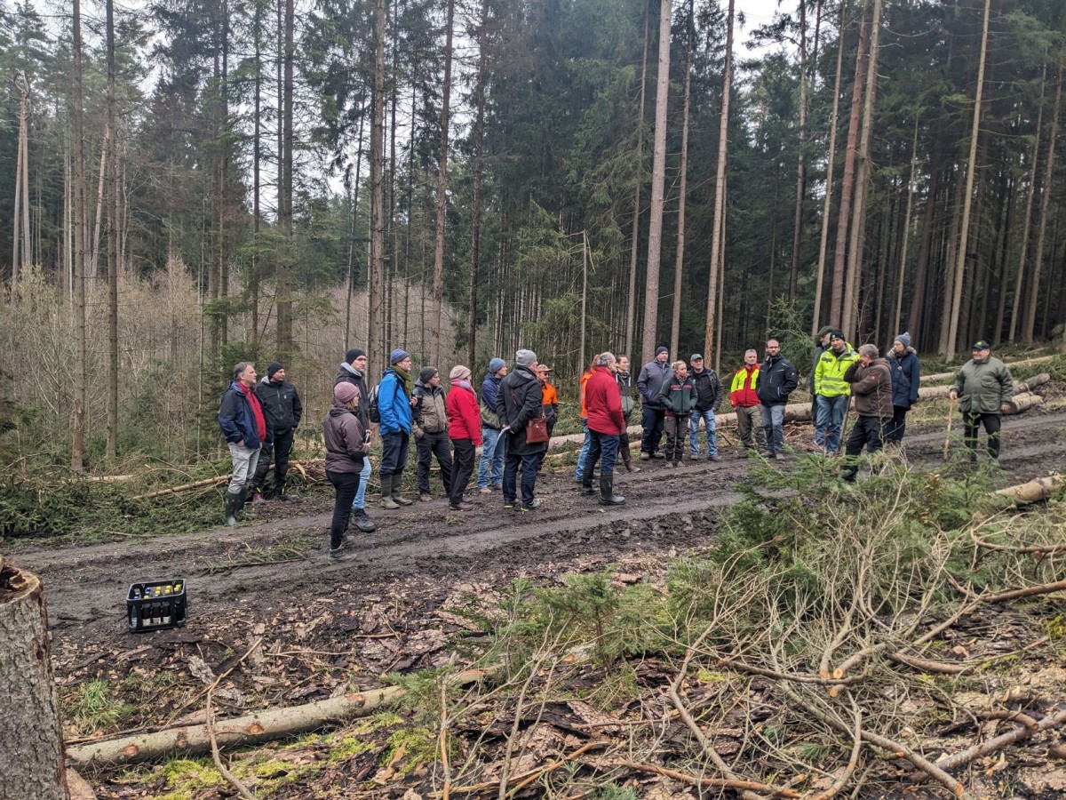 Eine Gruppe Menschen steht auf einem Waldweg, ein Mensch erklärt etwas