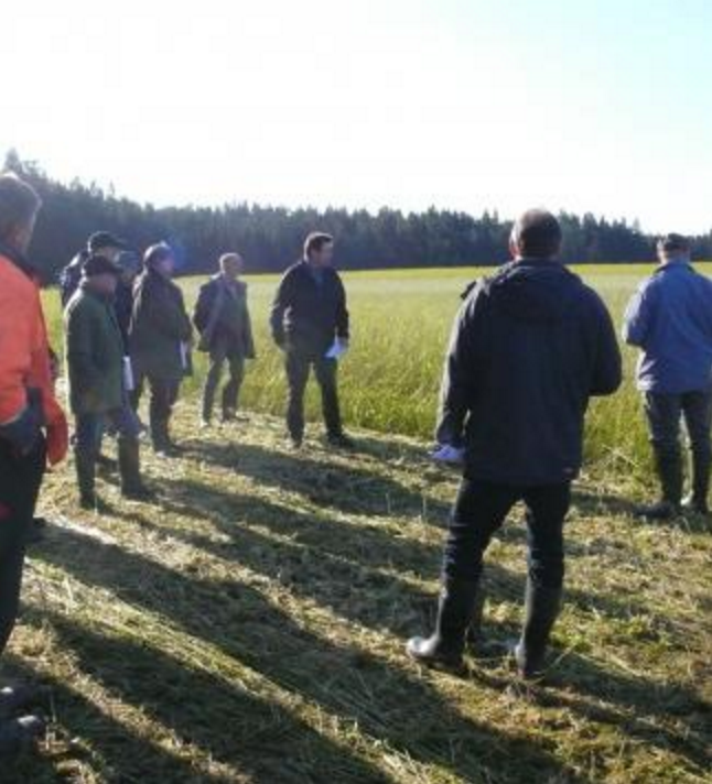 Landwirt Prell erklärt seinen Zwischenfruchtanbau