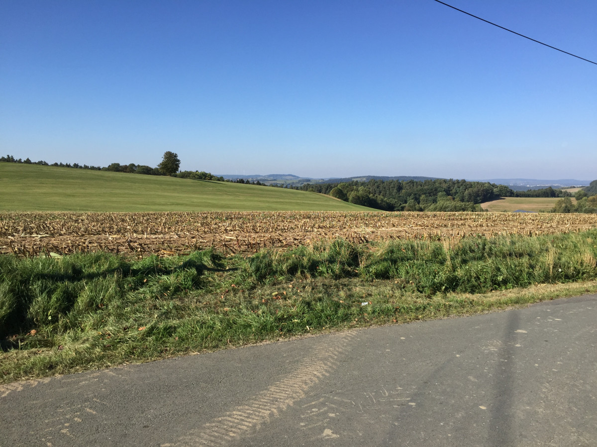 Felder mit Baum im Hintergrund