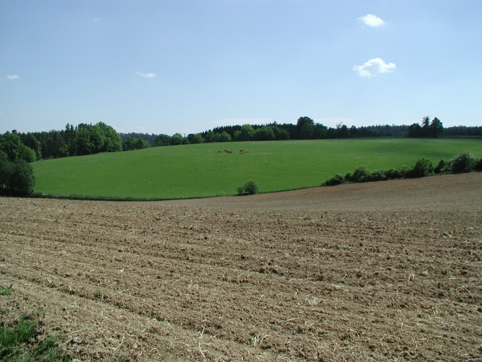 Blick auf die Hügellandschaft in Göbelsbach