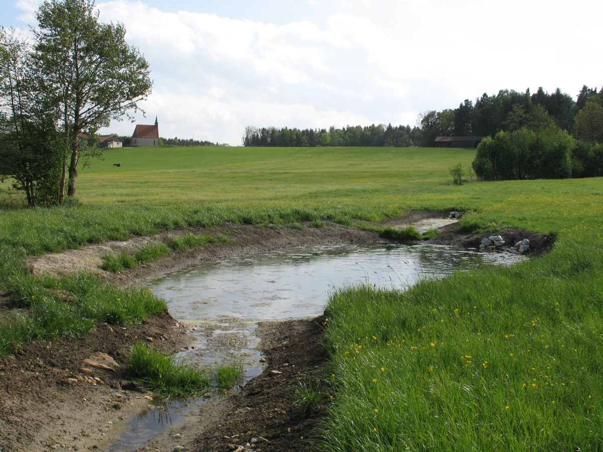 boden:ständig