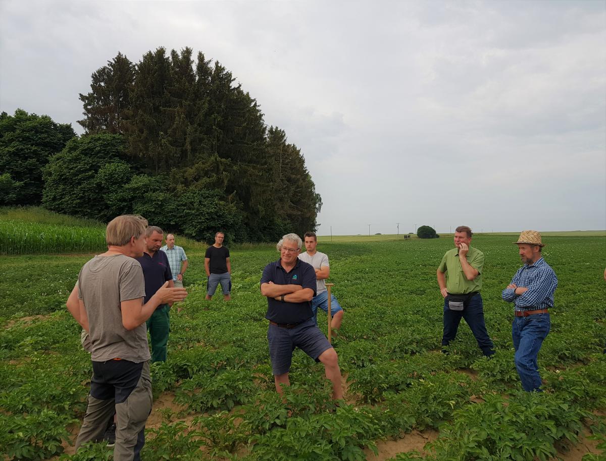 Landwirte betrachten Erosionsschutzmaßnahmen im Kartoffelanbau