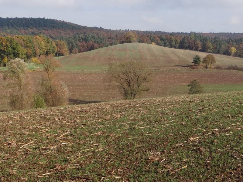 Landschaft im Projektgebiet