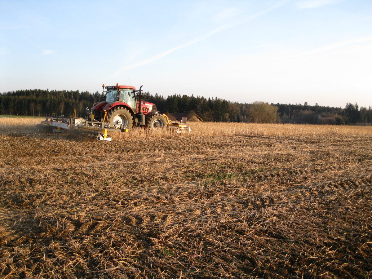 Wallner Messerwalze mit 9 m Arbeitbreite in Zwischenfrucht-Senf