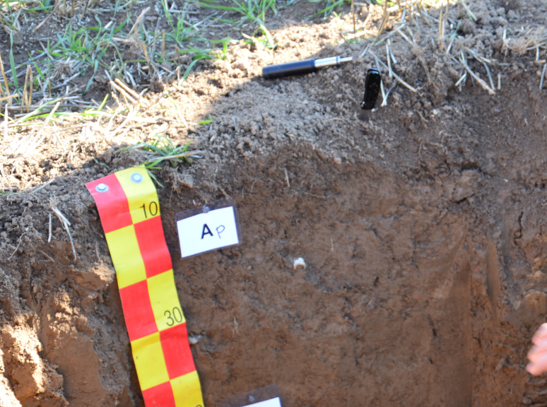 Oberer Bereich eines Bodenprofils mit Horizontbezeichnung, Werkzeug etc.