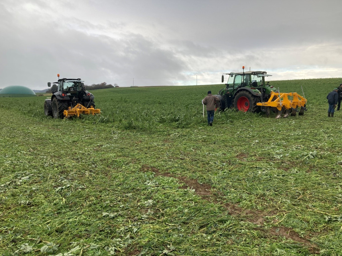 Foto: Zwei Traktoren mit je einem Untergrundlockerer auf einem Feld mit dichtem Zwischenfruchtbestand