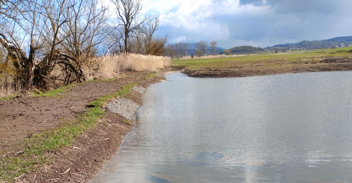 Auffangbecken mit Sickerzone