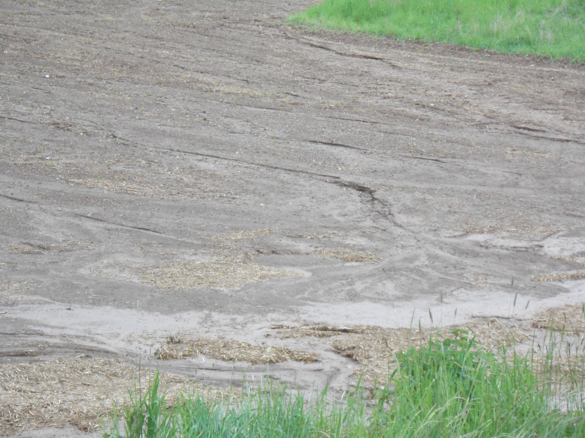 Acker mit Erosionsspuren nach Starkregen