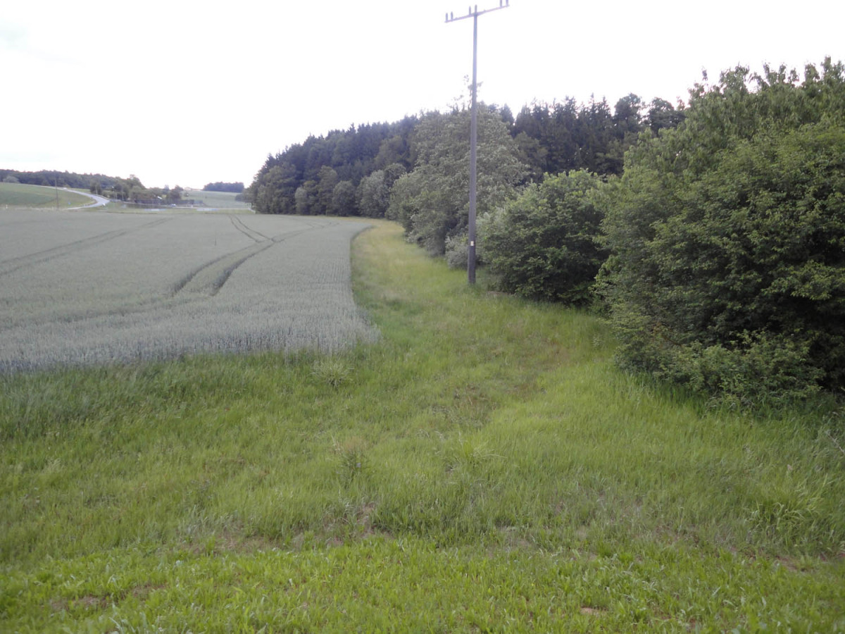 Gewässerrandstreifen