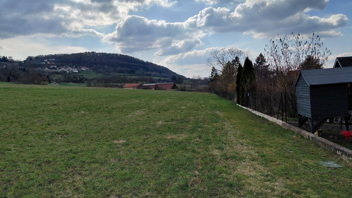 Bestehender Grünweg ohne Seitengraben vor Gänswirthshaus