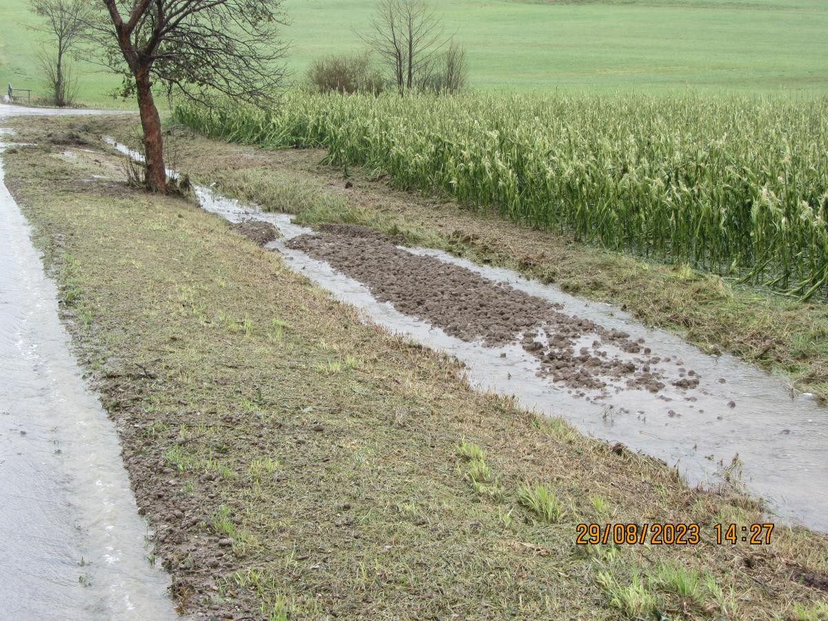 Abgeschwemmter Oberboden im Graben