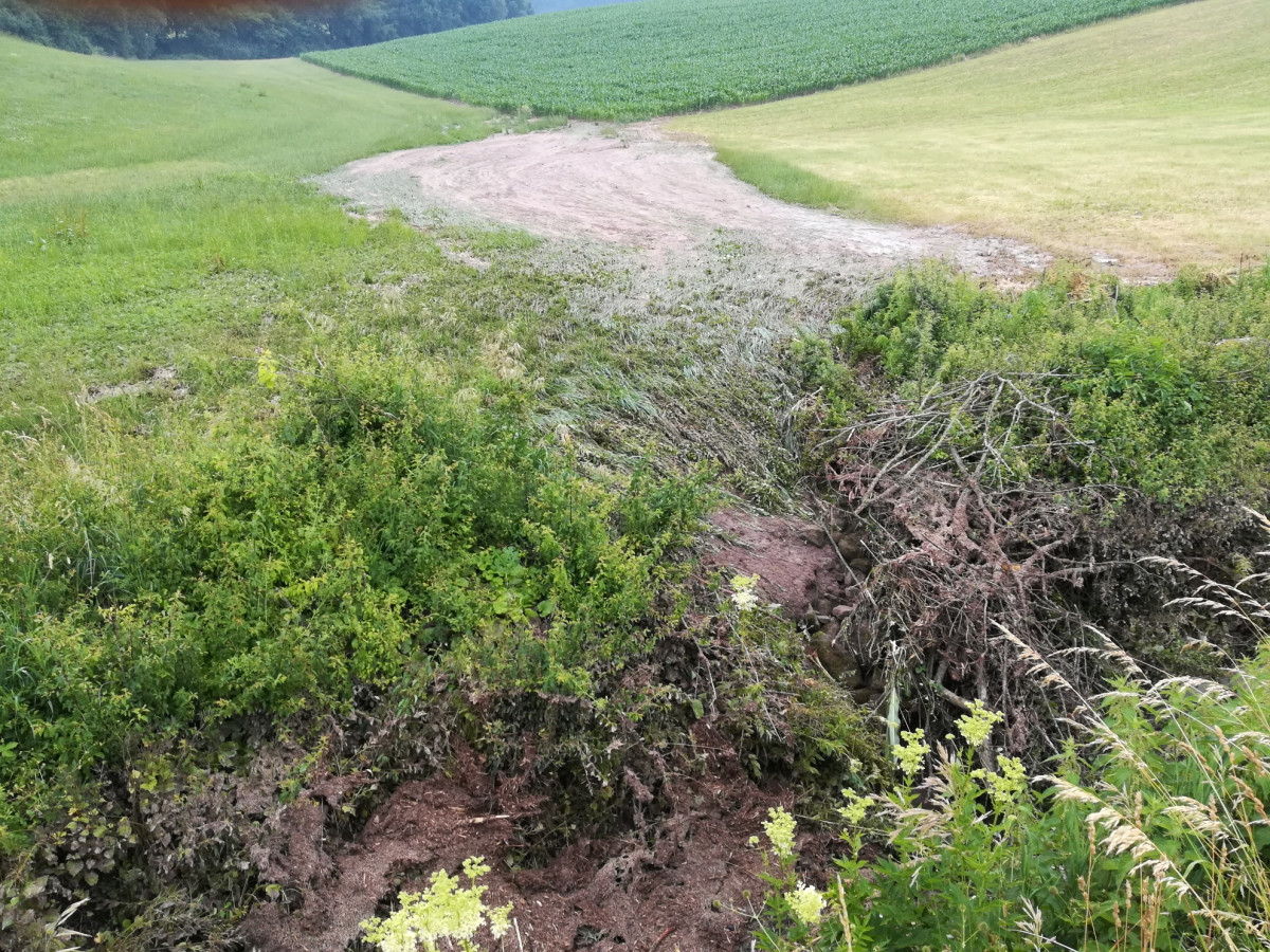 Blick über eine Wiese hinweg auf der sich Sediment aus einem Maisfeld nach Starkregen abgelagert hat