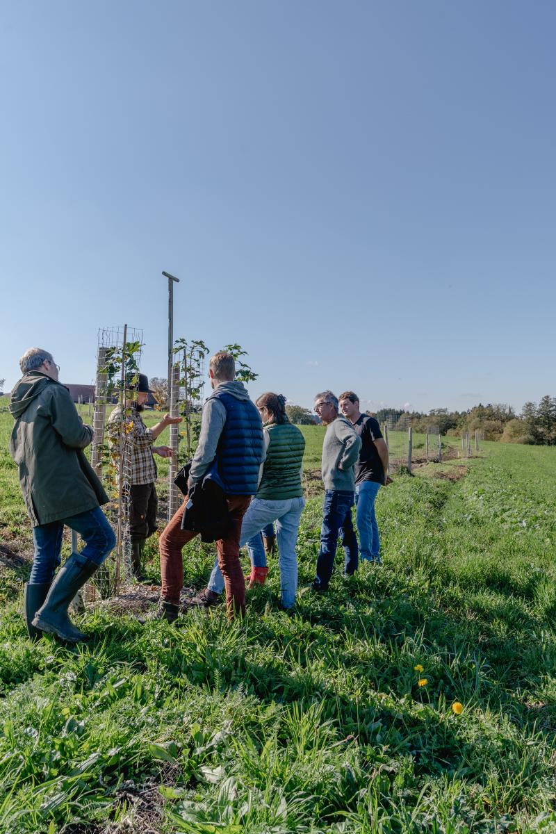 mehrere Menschen stehen in einer jungen Agroforstanlange