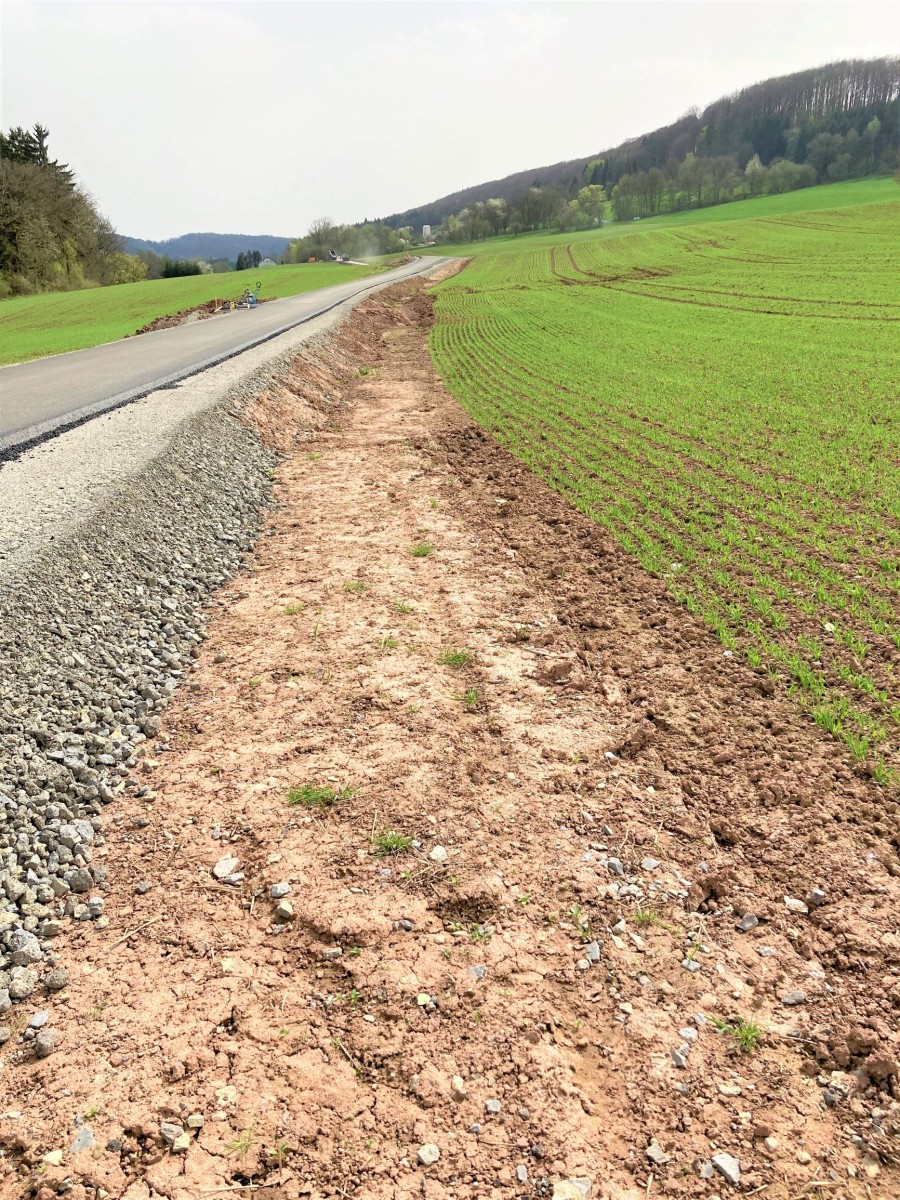 Es ist Landschaft mit einem durch die Bildmitte verlaufenden Weg zu sehen