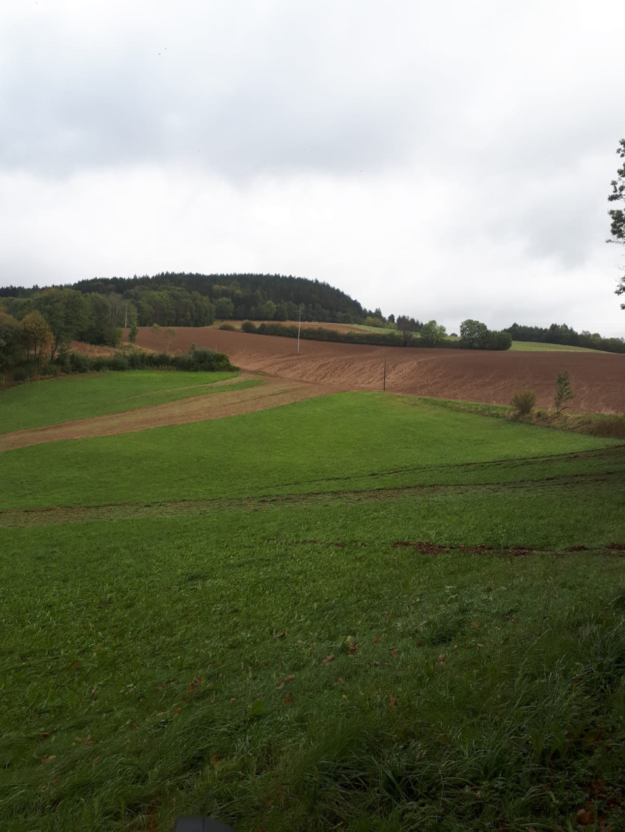 Erosionsspuren am Rödlasberg südöstlich von Bad Berneck.