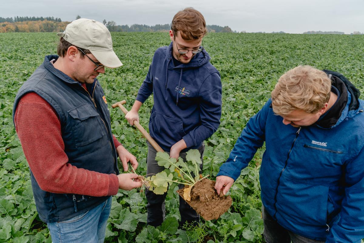 Drei junge Männer diskutieren einen ausgehobenen Bodenblock, den einer von ihnen auf einem Spaten hält.