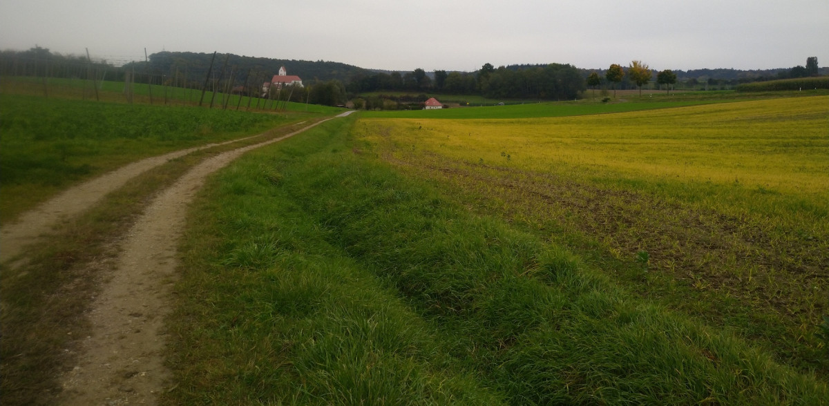 Der Starkregenabfluss in den Ort durch die Wegseitengräben ist berechenbar schnell. Aufgehalten wird er zunächst durch eines der um den Ort verteilten Rückhaltebecken.