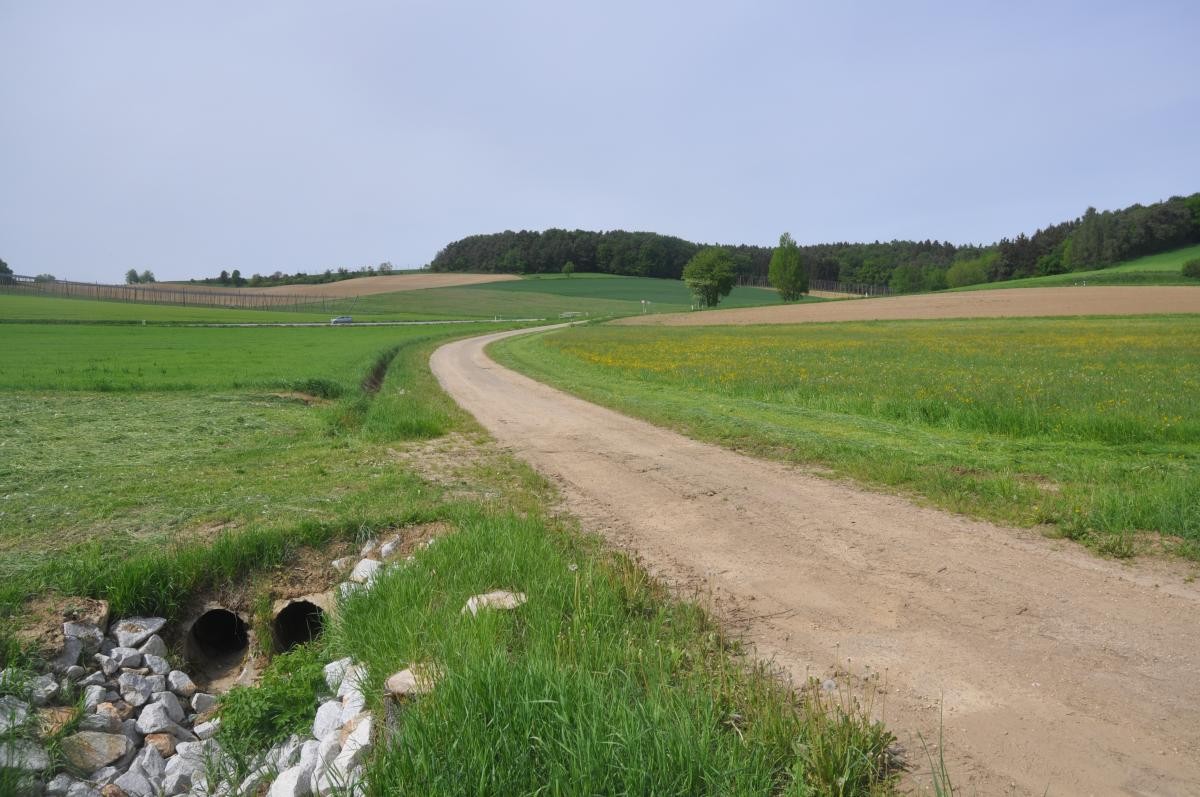 Querweg am Elsendorfer Bach