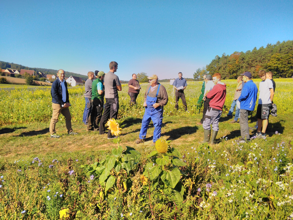 bei strahlendem Sonnenschein stehen einige Menschen locker auf einer Ackerfläche beisammen; im Vordergrund blühen Sonnenblumen
