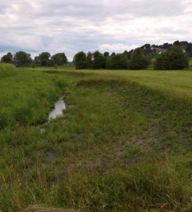 Sedimentfang durch Vorlandabtrag