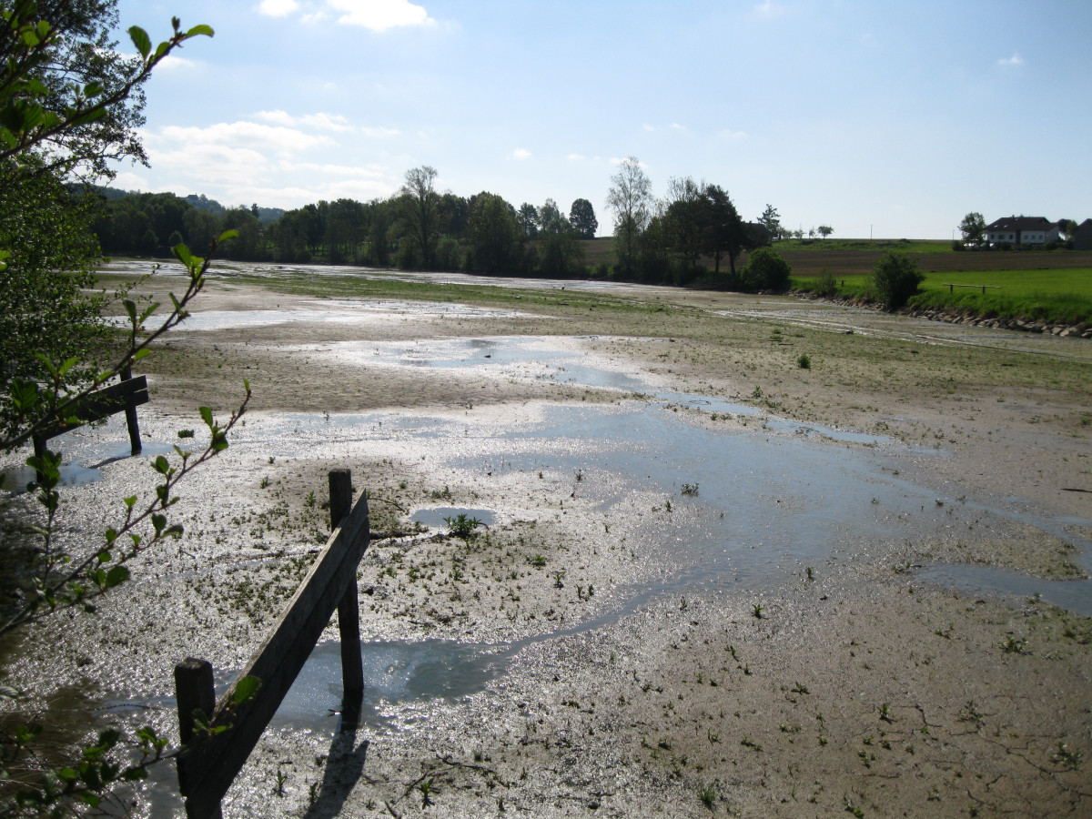 Verschlammung Iglbachstausee