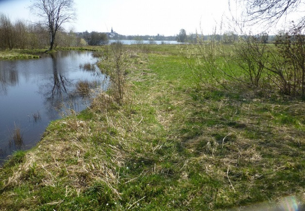 Einlaufbereich des Hirtenbachs in den Weißenstädter See