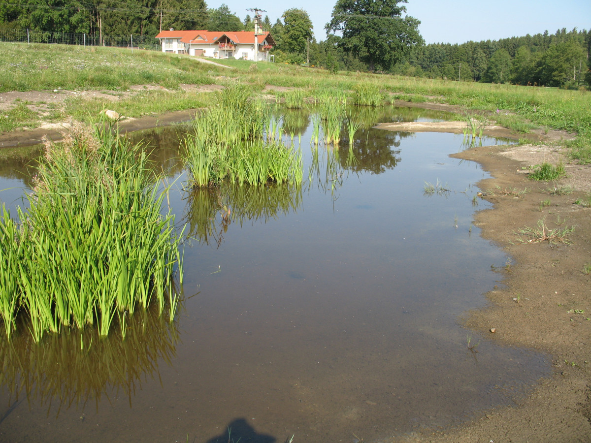 boden:ständig