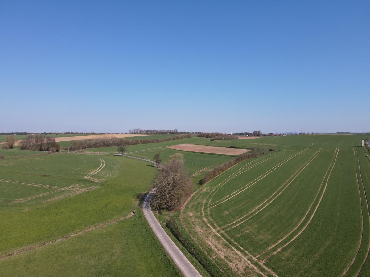 Es ist Landschaft mit Feldern, Wiesen und Wald zu sehen