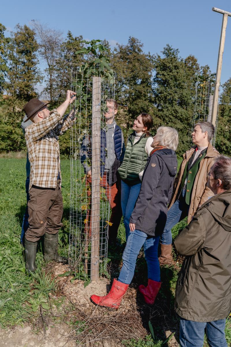 Eine Gruppe Menschen steht an einer jungen Baumpflanzung, an der ein junger Mann mit Hut etwas zeigt.