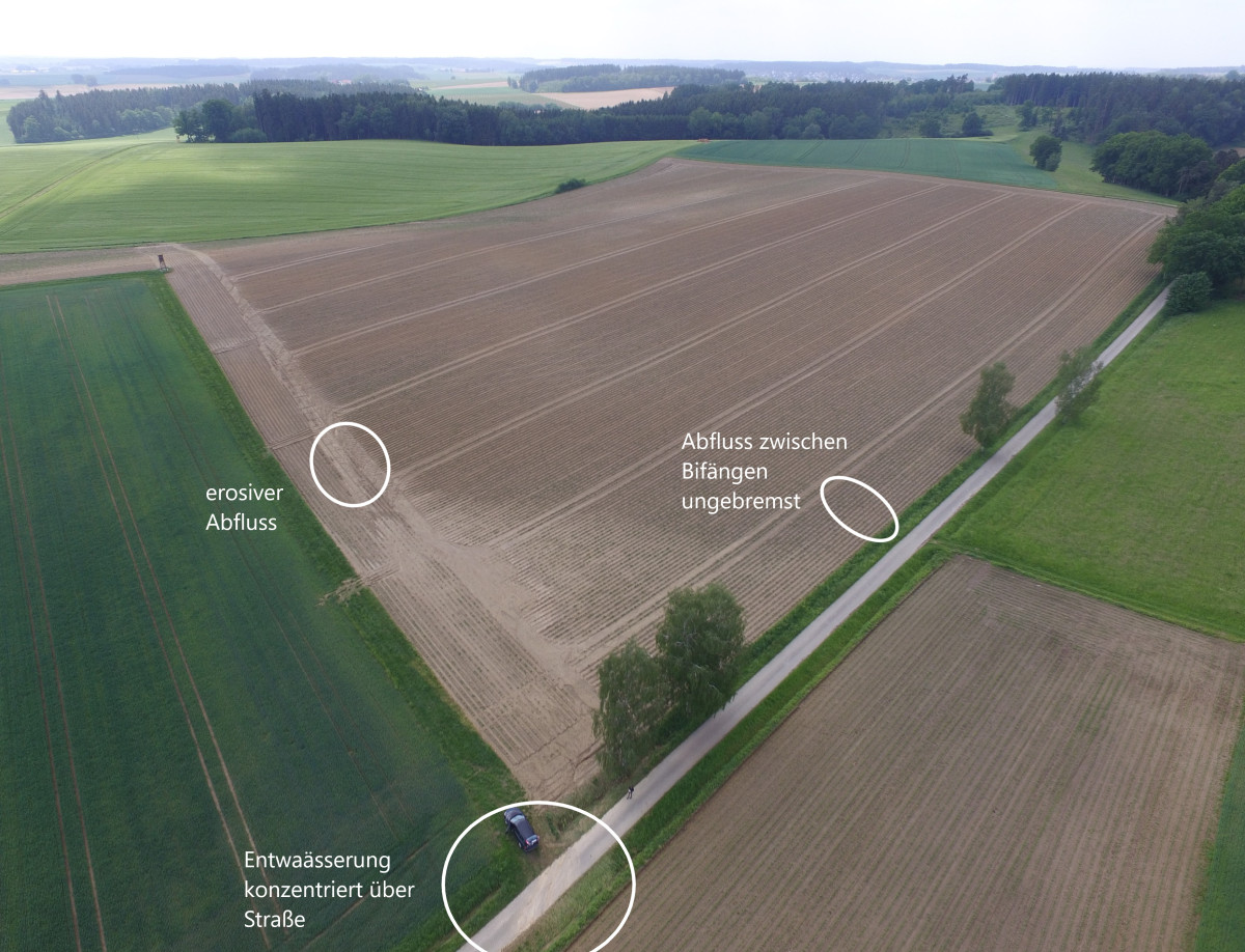 Der großflächige Wasseraustritt aus dem Feld auf den Weg ist gut erkennbar