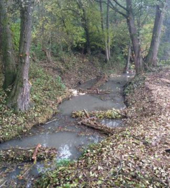 Verbesserung der Abflussverhältnisse durch Einengung der Sohle mit ingenieurbiologischen Bauweisen (Umsetzung durch das WWA Donauwörth)