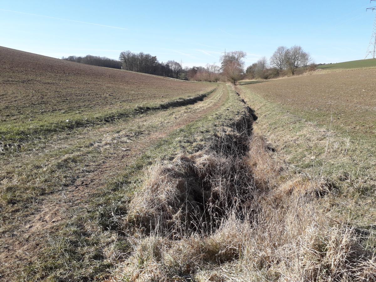 Hängige Äcker und geradlinige Gewässer - ein Problem für Salmsdorf