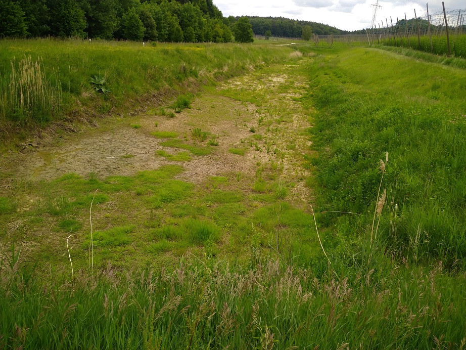 bestehendes Erdbecken