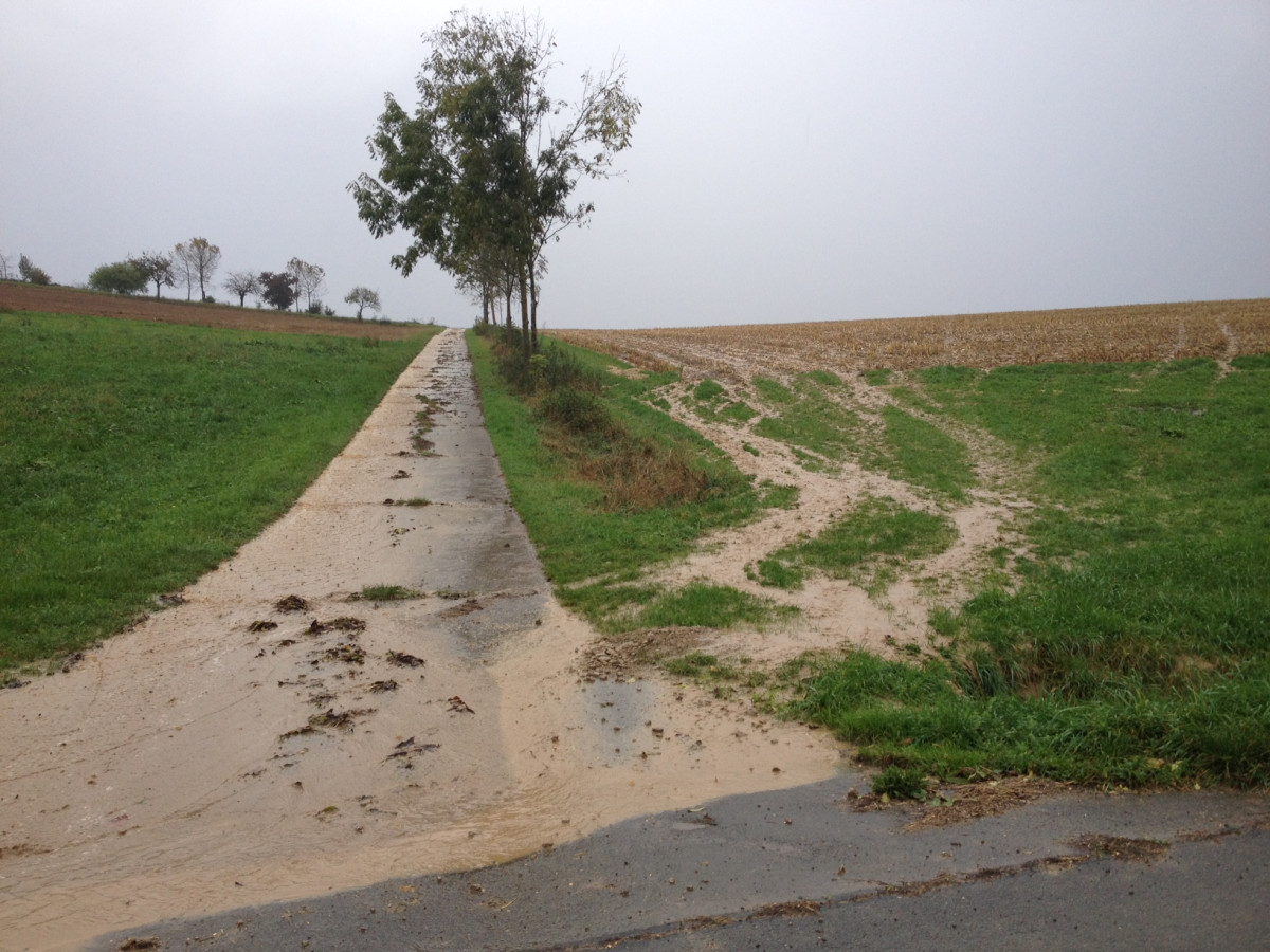Auf einem ländlichen Weg sowie der Landwirtschaftsfläche daneben fließt Boden ab.